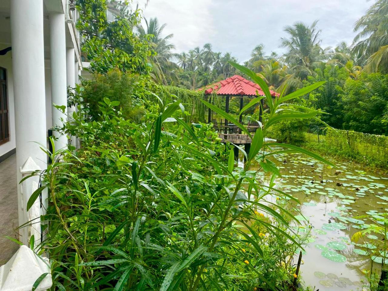 Haritha Resort Yala Exterior photo